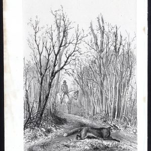 Antieke prent-PAARD-FOX-FOREST-Journal des Haras-1859