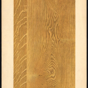 Antieke prent-HOUTWERKING-KORREL-EIKEN-PLAAT 2-Weiershausen-1902