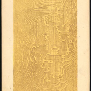 Antieke prent-HOUTWERKING-KORREL-EIKEN-SPIEGELPLAAT 3-Weiershausen-1902