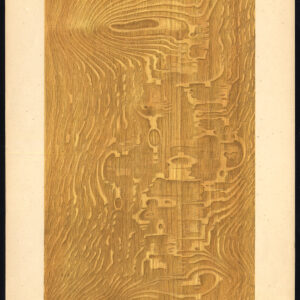 Antieke prent-HOUTWERK-KORREL-EIKEN-SPIEGEL-PLAAT 4-Weiershausen-1902