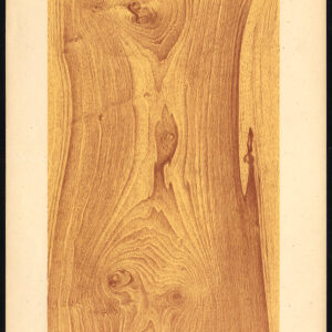 Antieke prent-HOUTWERK-KORREL-ITALIAANSE NOTEN-PLAAT 5-Weiershausen-1902