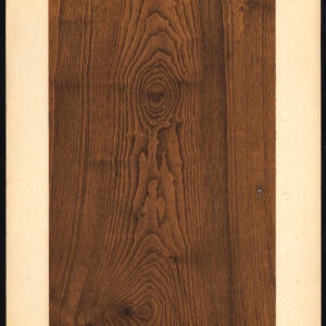 Antieke prent-HOUTWERK-KORREL-AMERIKAANSE NOTEN-PLAAT 8-Weiershausen-1902