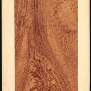 Antieke prent-HOUTWERK-KORREL-MAHONIE-PLAAT 11-Weiershausen-1902