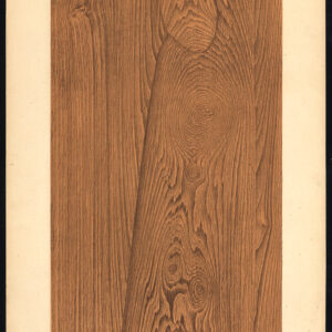 Antieke prent-HOUTWERK-KORREL-PAZEIWOOD-PLAAT 15-Weiershausen-1902