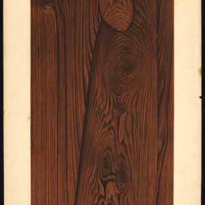 Antieke prent-HOUTWERK-KORREL-PAZIERHOUT-PLAAT 16-Weiershausen-1902