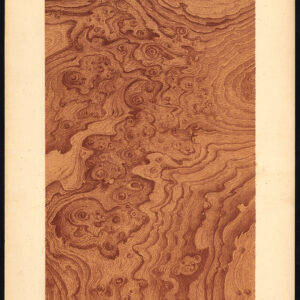 Antieke prent-HOUTWERK-KORREL-WALNOOT-PLAAT 19-Weiershausen-1902