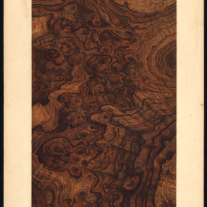 Antieke prent-HOUTWERK-KORREL-WALNOOT-PLAAT 20-Weiershausen-1902