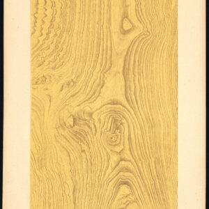 Antieke prent-HOUTWERK-KORREL-DUITSE ASH-PLAAT 21-Weiershausen-1902