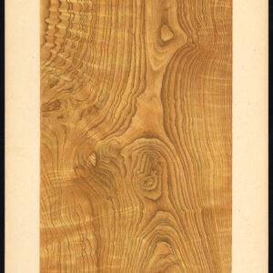 Antieke prent-HOUTWERK-KORREL-DUITSE ASH-PLAAT 22-Weiershausen-1902