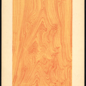 Antieke prent-HOUTWERK-KORREL-GEMEENSCHAPPELIJKE JUNIPER-PLAAT 23-Weiershausen-1902