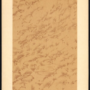 Antieke prent-HOUTWERK-KORREL-MAPLE-PLAAT 25-Weiershausen-1902