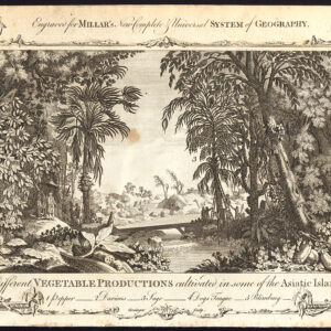 Antieke prent-PEPPER-HONDSTONGUE-DOG'S-SAGO-BLIMBING-DARIONS-Grainger-1782