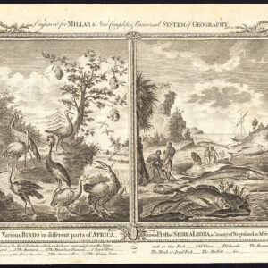 Crested Crane Bustard Aigret Mullet Fish Pilchard Royce 1782