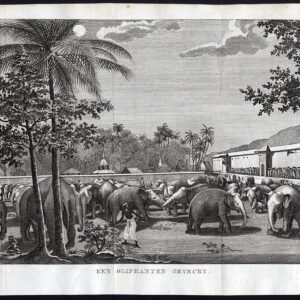 Antieke Prent-INDISCHE OLIFANTEN-VECHTEN-De Bakker-Geusendam-1805
