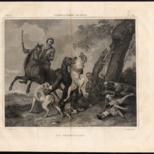 Antieke prent-BEER JACHT-HONDEN-PAARD-Reckleben-Liernur-1845
