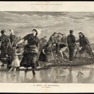 Antieke prent-VISSEN-VISSER-NET-MAKKEREL-Hollidge-Duncan-1873