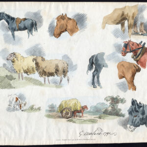 Antieke prent-PAARD-SCHAPEN-KOE-MULE-TACK-ANATOMIE-STUDIE-SCHETS-George Morland-1792