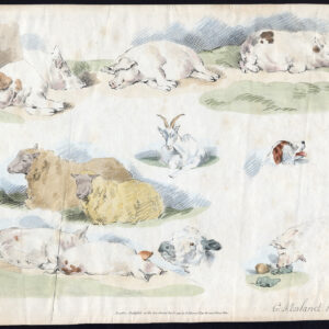 Antieke prent-VEE-VARKEN-GEIT-KOE-SCHAPEN-HOND-STUDIE-SCHETS-George Morland-1792