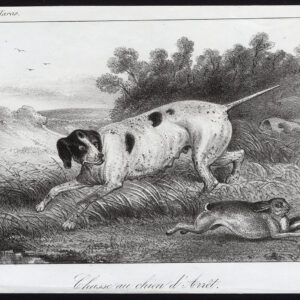 Antieke prent-WIJZENDE RAS-JACHTHOND-Journal des Haras-1846