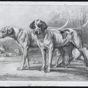 Antieke prent-JACHTHONDEN-MONDOR-TIMBALEAU-Journal des Haras-1848