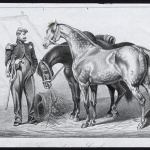 Antieke prent-PAARD-ZWARE CAVALRIE-LEGER-Journal des Haras-1848