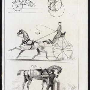 Antieke prent-PAARD-KAR-KOETS-TACK-Journal des Haras-1850