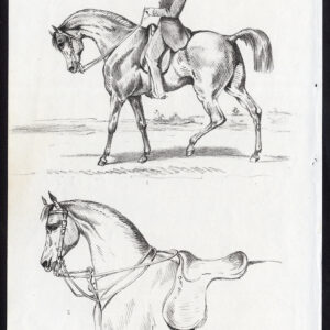 Antieke prent-PAARDRIJDEN-ZADEL-TACK-Journal des Haras-1850