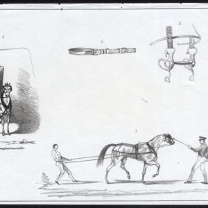 Antieke prent-PAARD-KOETS-TACK-Journal des Haras-1850
