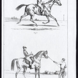 Antieke prent-RACE PAARDEN-TRAININGSPLAAT 7-Journal des Haras-1850