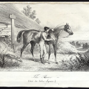 Antieke prent-RACE PAARD-JOCKEY-Journal des Haras-1851