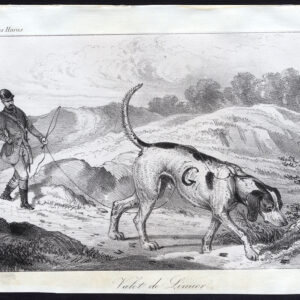 Antieke prent-VALET DE LIMIER-BLOEDHOND-JACHT DOG-Journal des Haras-1851