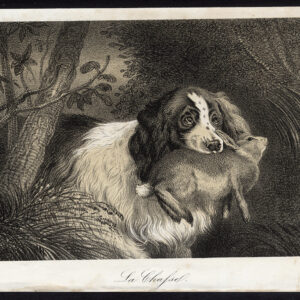 Antieke prent-JACHTHOND-HAAS-KONIJN-Journal des Haras-1853