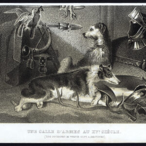 Antieke prent-HOND-WAPENSKAMER-ARMOUR-Journal des Haras-1853