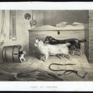 Antieke prent-DOG-CAT-Journal des Haras-1853
