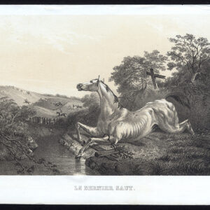 Antieke prent-OUDE PAARDENRACE-Journal des Haras-1853