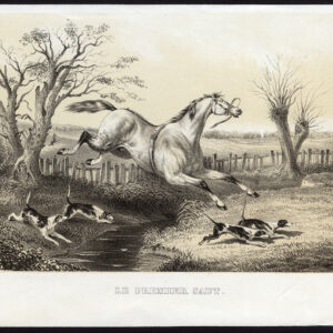 Antieke prent-PAARD-SPRINGEN-JACHTHONDEN-Journal des Haras-1853