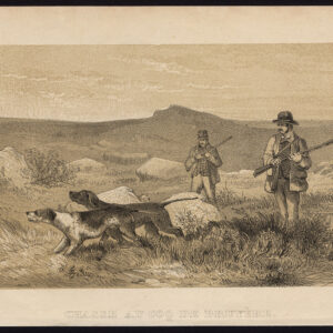 Antieke prent-HOUSE JACHT-DOG-HUNTER-GEWEER-Journal des Haras-1854