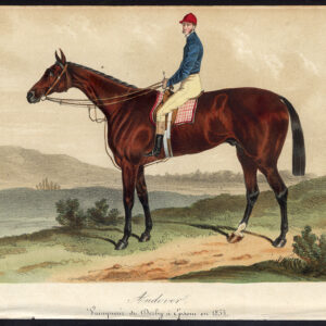 Antieke prent-ANDOVER-volbloed renpaard-EPSOM DERBY-Journal des Haras-1854
