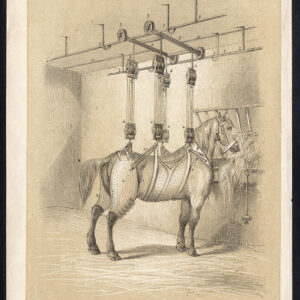 Antieke prent-PAARD-GENEZING-FRACTURE-HOIST-Journal des Haras-1856