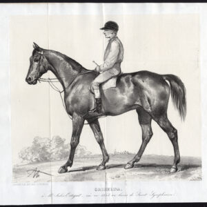 Antieke prent-GRISELDA-THOROUGHBREAD RACEHORSE-JOCKEY-Journal des Haras-1859