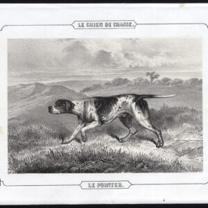 Antieke prent-WIJZENDE RAS-JACHT HOND-POINTER-Journal des Haras-1859