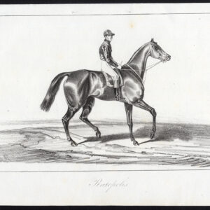 Antieke prent-RACEHORSE-THOROUGHBRED-JOCKEY-RATOPOLIS-Journal des Haras-1843
