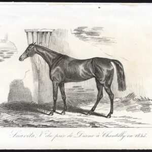 Antieke prent-RACEHORSE-THOROUGHBRED-SUAVITA-PRIX-DIANE-Journal des Haras-1845
