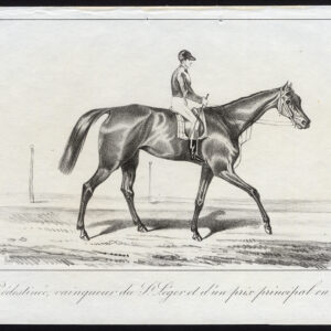 Antieke prent-RACEHORSE-VOLbloed-PREDESTINEE-PRIJS-Journal des Haras-1845