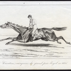 Antieke prent-RACEHORSE-VOLbloed-CAVATINE-PRIJS-Journal des Haras-1845