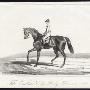 Antieke prent-RACEHORSE-THOROUGHBRED-FITZ EMILIUS-DERBY-Journal des Haras-1845