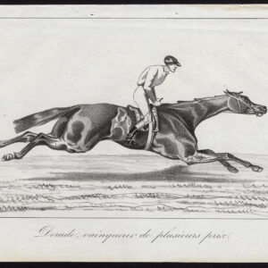 Antieke prent-volbloed renpaard-DORADE-WINNAAR-JOCKEY-Journal des Haras-1846