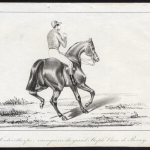 Antieke prent-STEEPLECHASE-BERNY-HORSE-CULVERTHORPE-Journal des Haras-1846