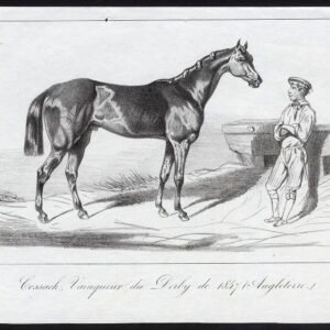 Antieke prent-volbloed renpaard-KOSSACK-DERBY-Journal des Haras-1847