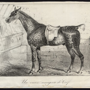 Antieke prent-OUDE HENGST-PAARD-STABLE-Journal des Haras-1850
